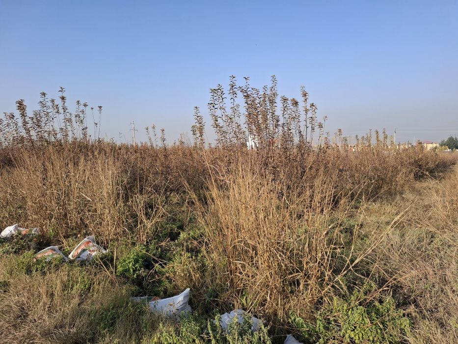 Бог ижарага берилади