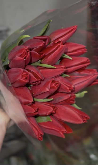 Тюльпаны оптом розницу игрушка в подарок от 15 шт