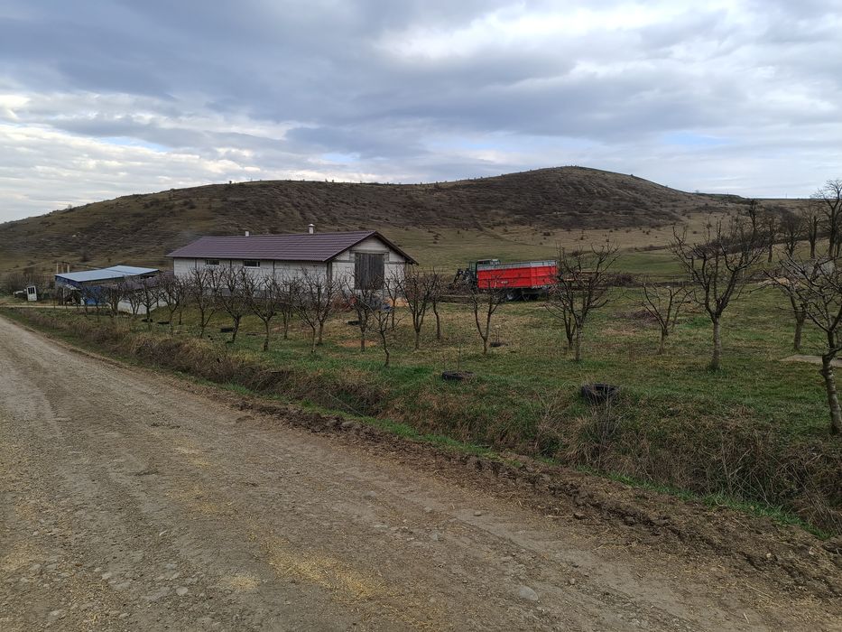 Vând fermă în Frata.