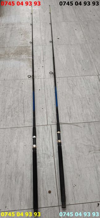 lansete set de 2 buc ROBINHAN 3m carbon foarte rigide din 2 segmente