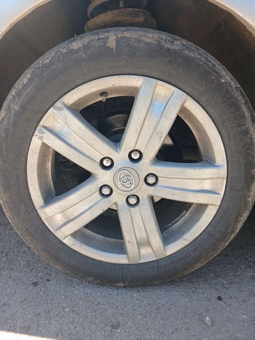 Титанкы покрычкамен