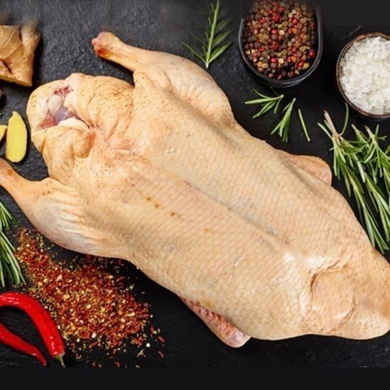 Продаю птицу домашнюю:куры, утки, перепёлки, индюки.