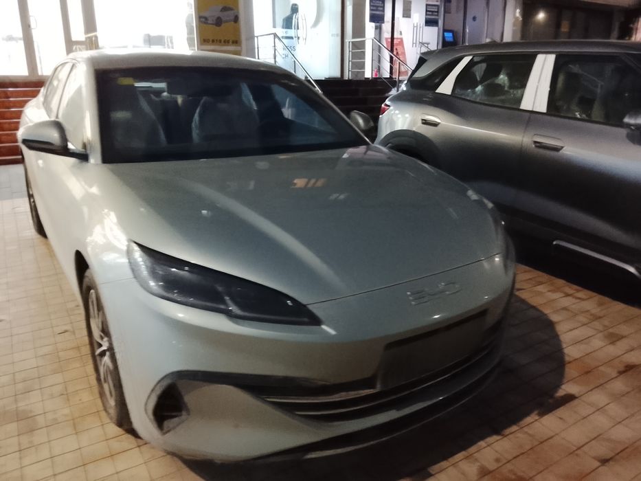 Build your dream seal 06