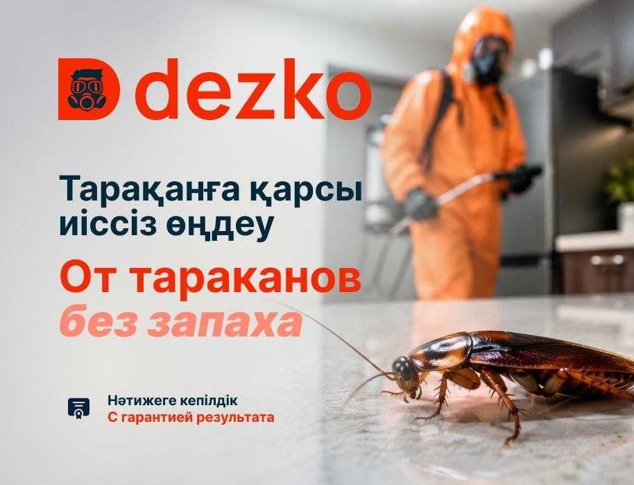 Дезинфекция! Насекомые дома? Пора решить проблему раз и надолго
