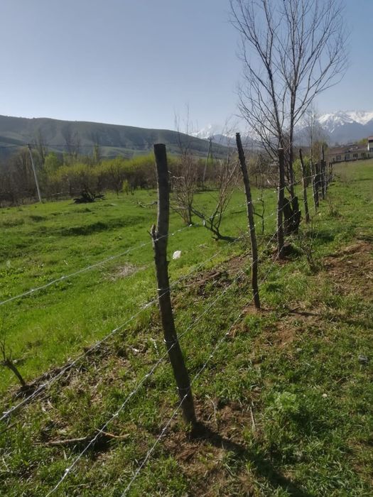 Сдам в аренду землю