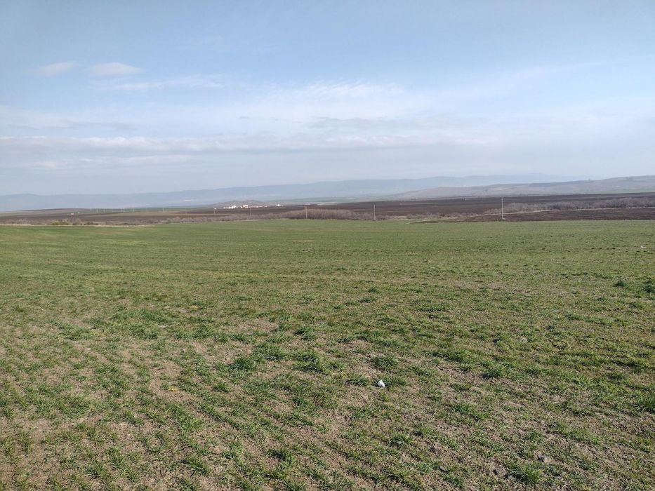 Продава се Парцел в Каблешково - 1400 кв.м за 7 €/кв.м - Снимка #2