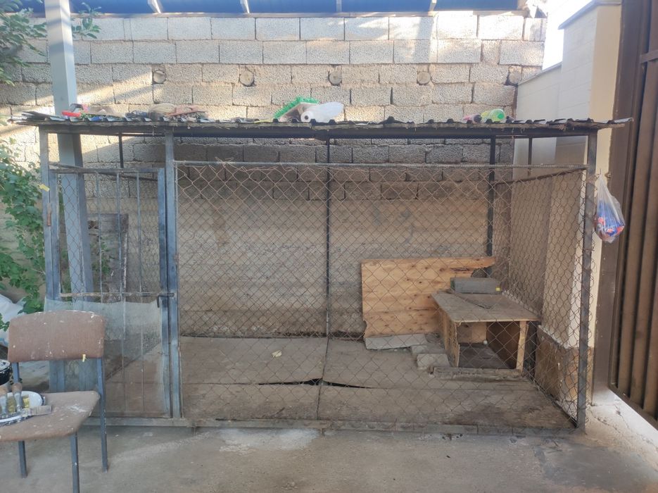 Вольер для собаки