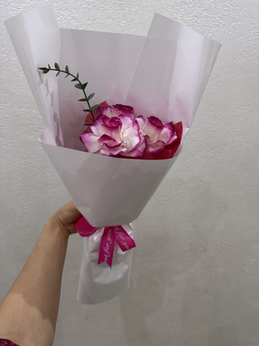 Мыльное цветы, сабын гүлдер