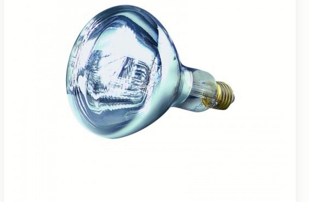 Картони за яйца, Лампи за пиленца и Изрезки от дървени греди, Талаш