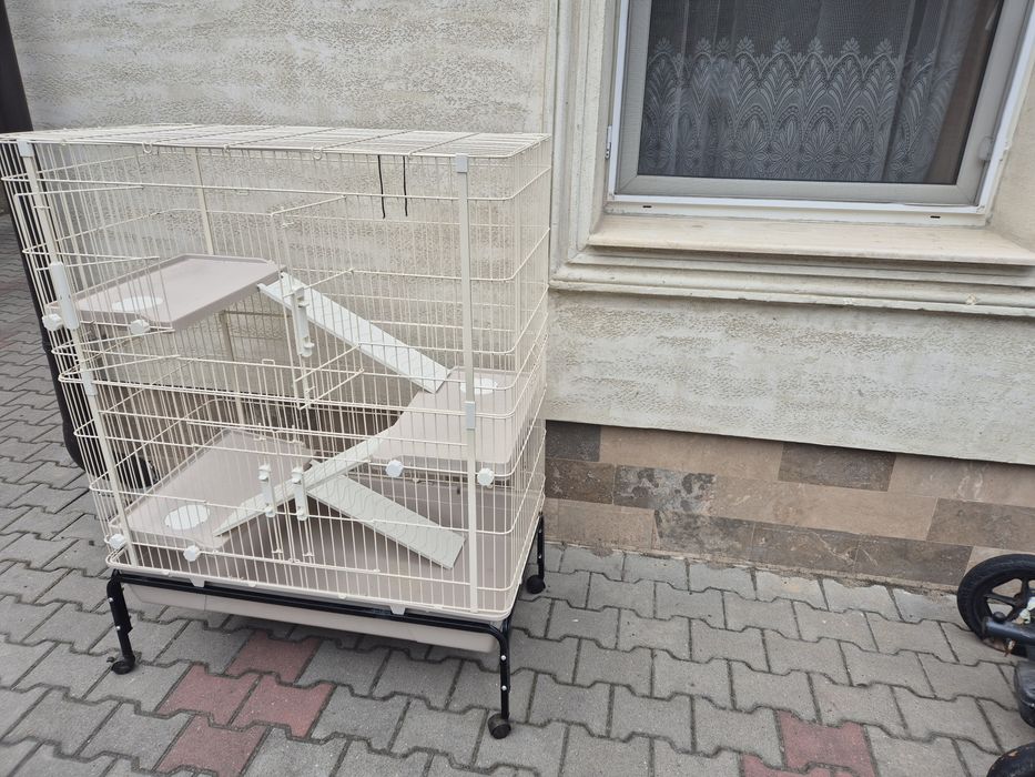 Cuscă animale companie