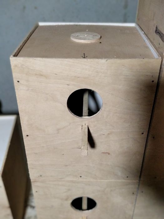 Гнездо для Карелии и Для Певчи пититци