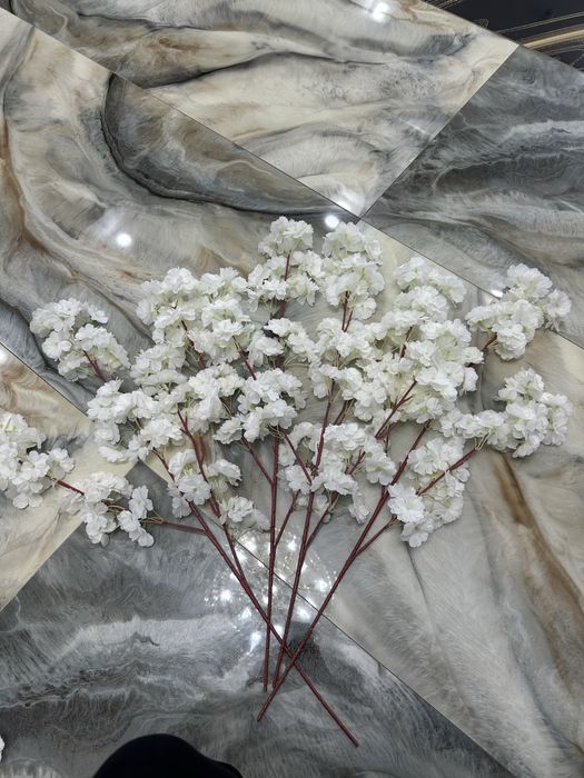 Белая Сакура для оформления