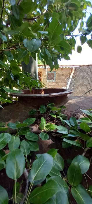 2 тонналық Су қазаны сатылады