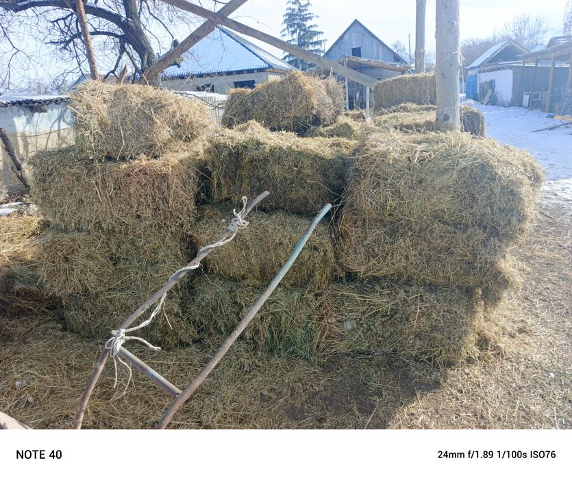 Продам сена срочно
