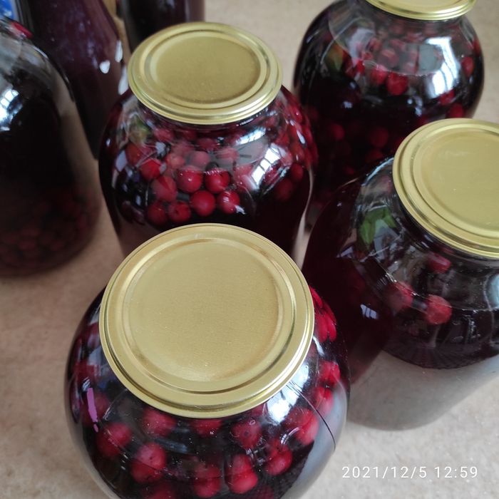 Компот  домашний микс