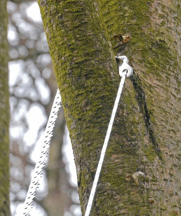 верига  за рязане на клони RoNa, нова, немска, внос от Германия.
Вериг