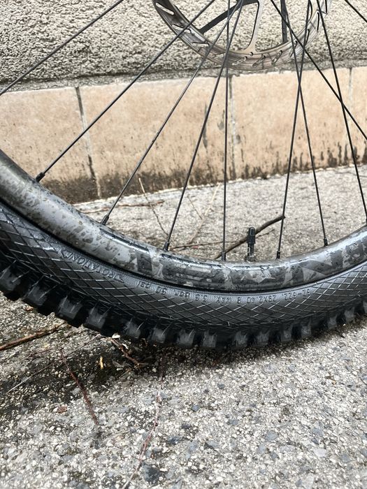 Forbidden Druid 2023