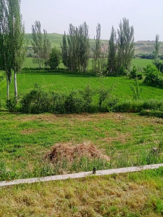Yer sotiladi 40 sotix