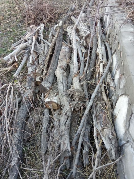 Дровларимиз сотилади таклиф этамиз.