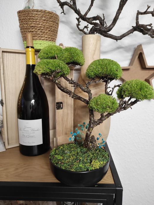 Бонсай със скандинавски мъх и стабилизирани растения!