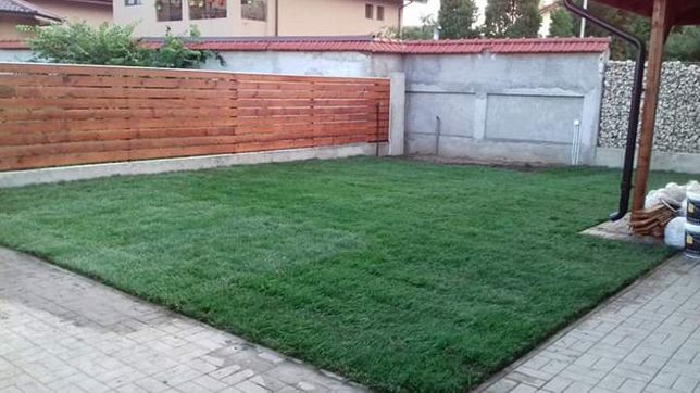 Rulouri de gazon, sisteme de irigat, pavaz, tuia, plante,semințe gazon