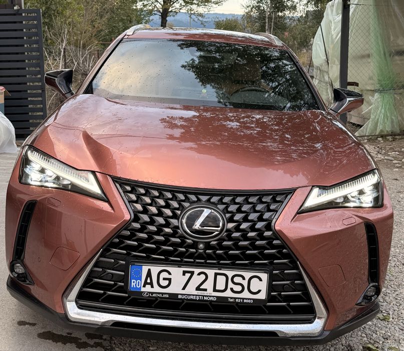 Lexus UX300h Luxury AWD