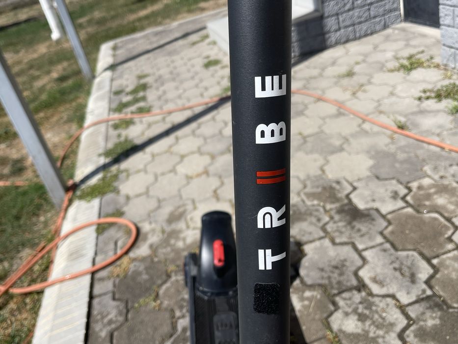 Самокат TRIBE MAYA в продаже