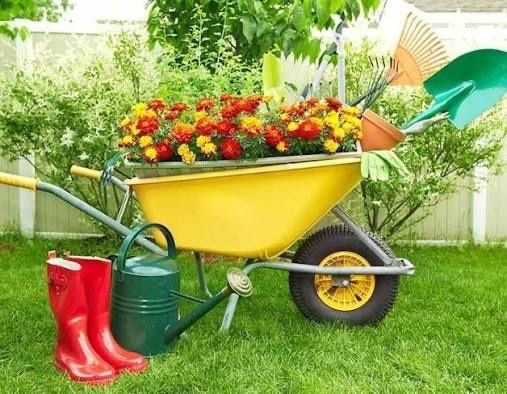 Уборка сада Алматы