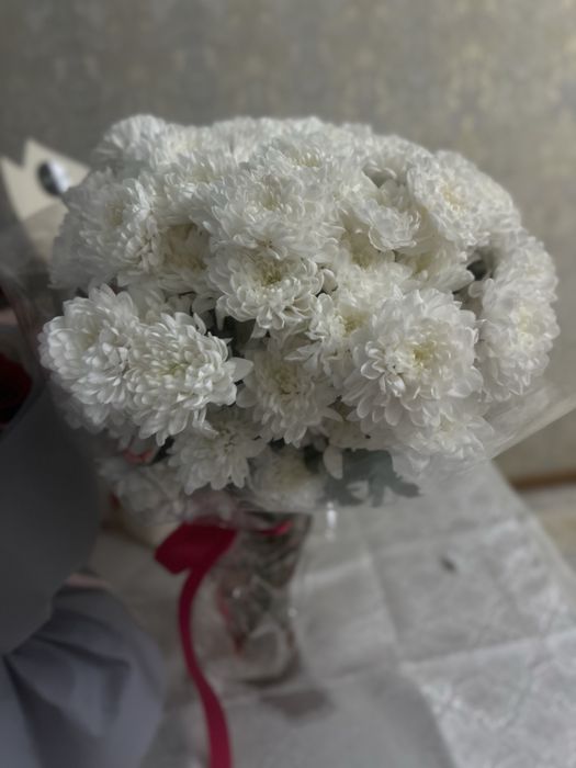 цветы хризантема