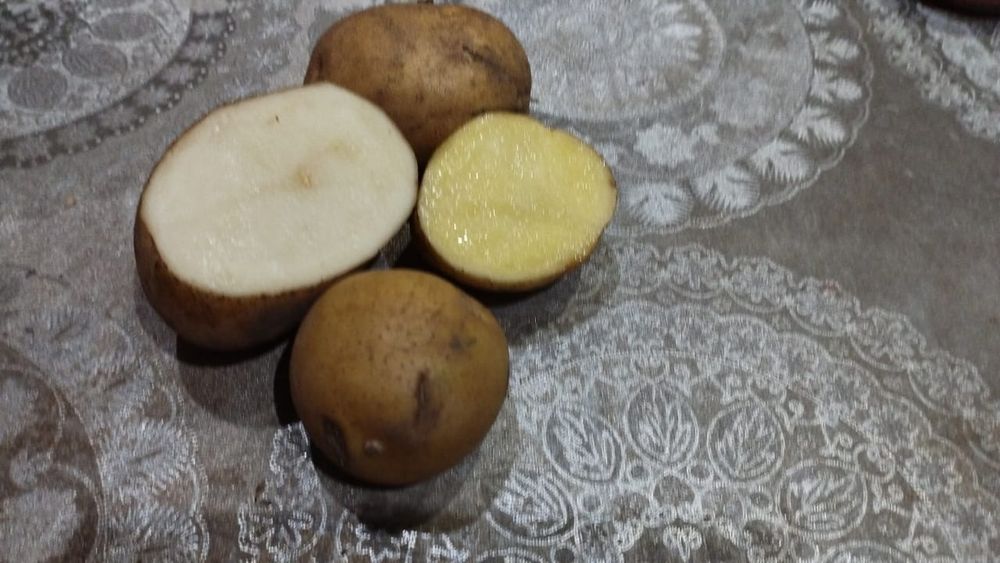 Продаю картошку дачную
