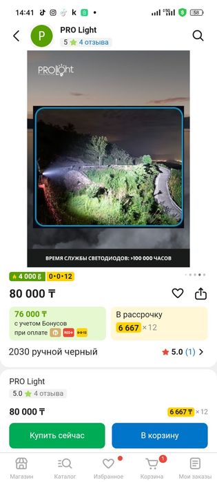 Фонарь PRO Light 2030