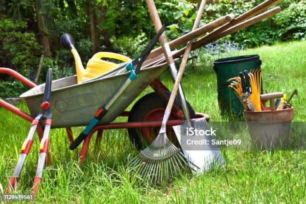 Oferim servicii despre tot c tone de gradinarit