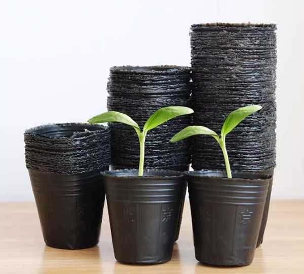 продам стакачики для рассады