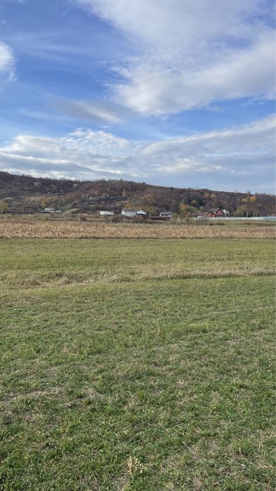 Teren arabil suprafață 3600 mp