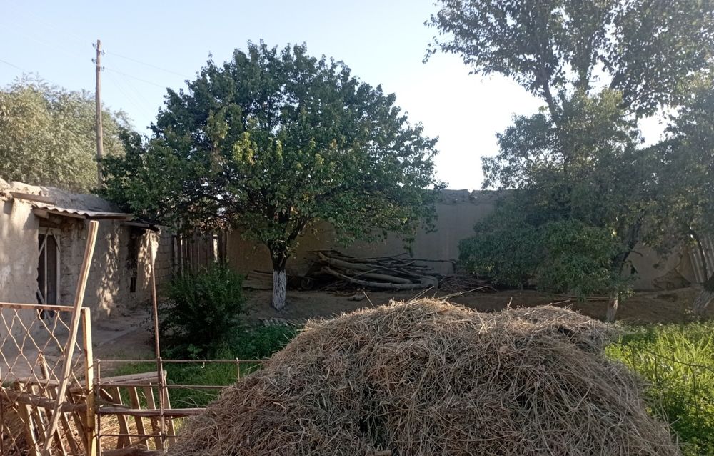 Navoiy viloyati, Karmana tumani, Yangiobod MFYda 12 sotixli  uy