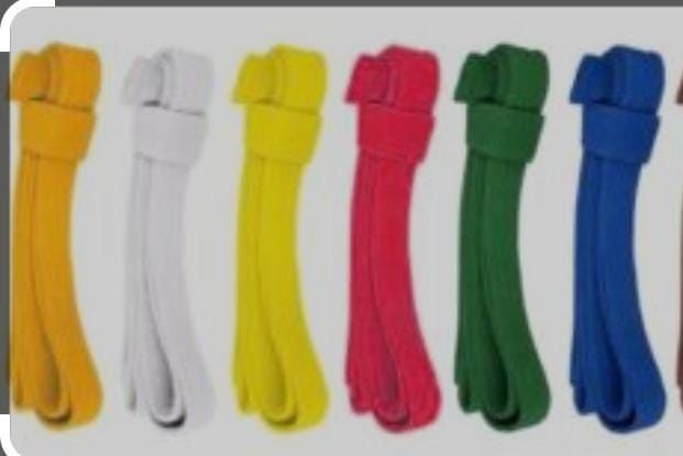 Продам пояса по 500тг