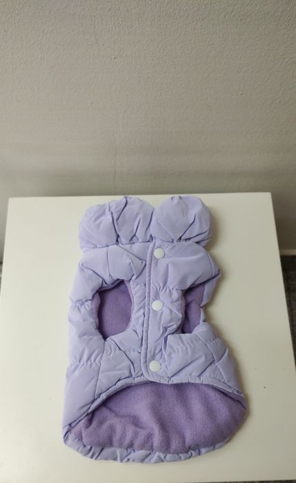 Яке за куче от малка порода 35-40 см 10 кг