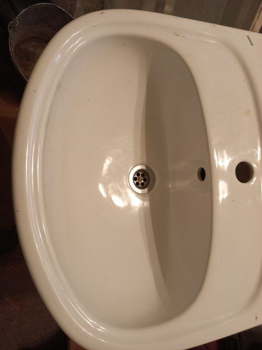 Продам тюльпан б/у,2 шт