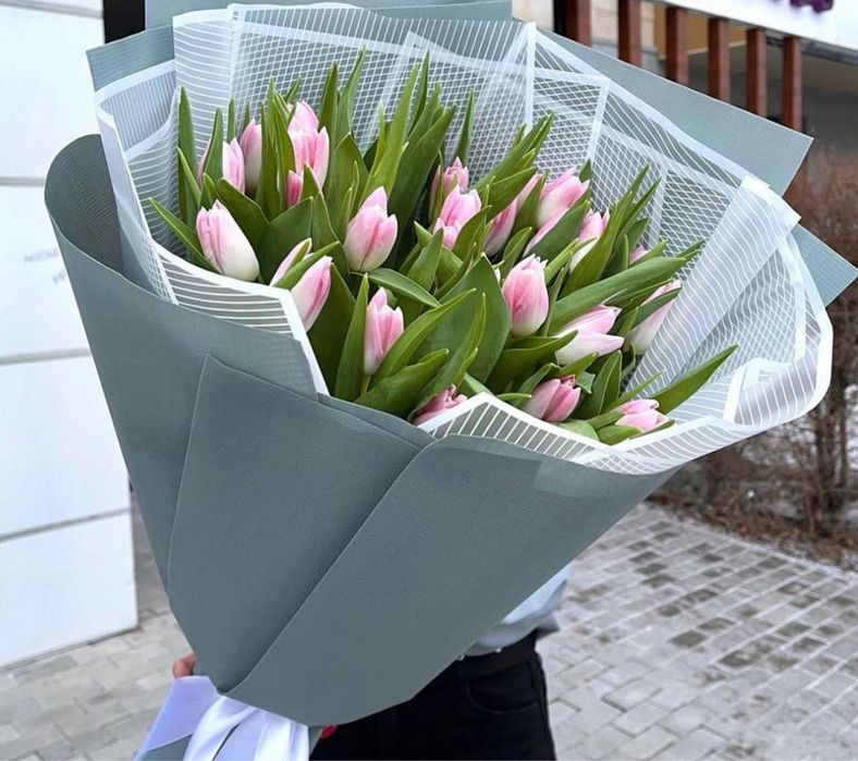 Голландские тюльпаны