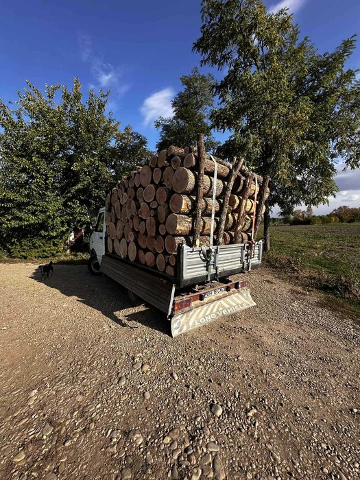 Lemne! JUD:BIHOR Esenta tare!!