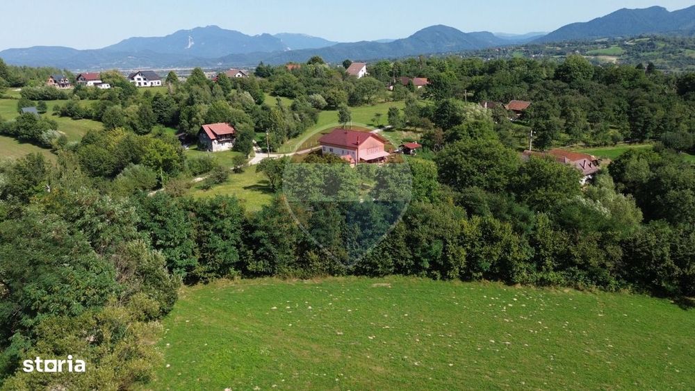 Teren 3,000mp Predelut / Strada Pe Tarina
