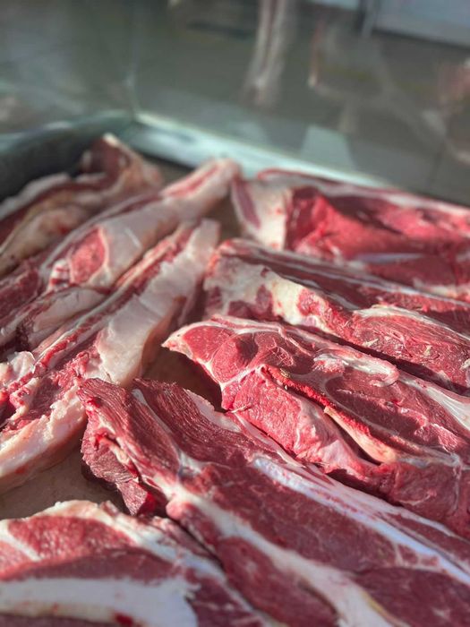 Свежее мясо, согым