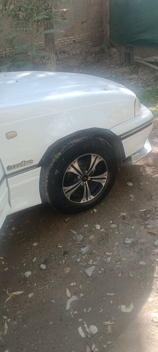 Nexia 1 xolati bombacha