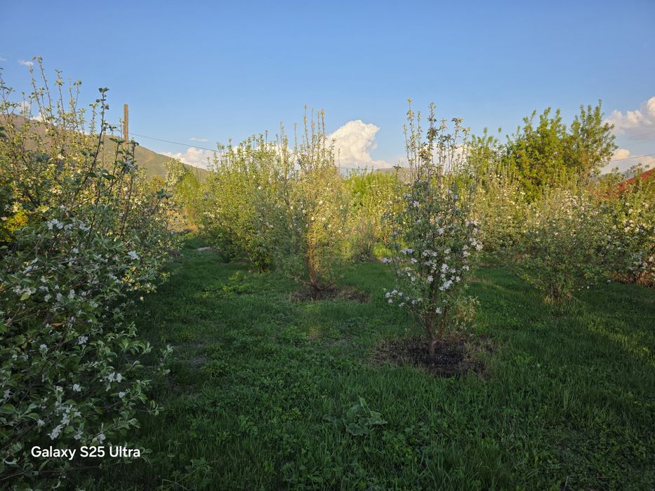 Продажа дом уалханова39