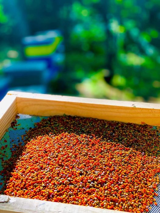 Домашен Пчелен Мед акация липа бодил прашец коледни свещи липа Манов