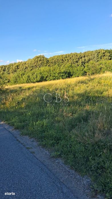 Exclusivitate! Com0%! Teren intravilan 6297mp in Com. Mociu , Zorenii
