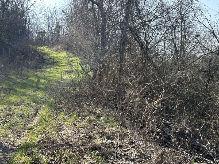 Продава се Парцел в с. Калипетрово, Област Силистра - 4680 кв.м за 1 €/кв.м - Снимка #2