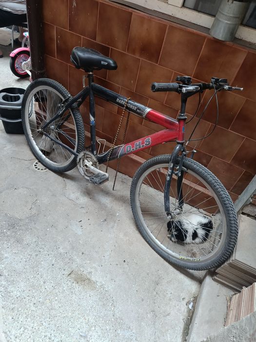 Bicicleta 100 lei