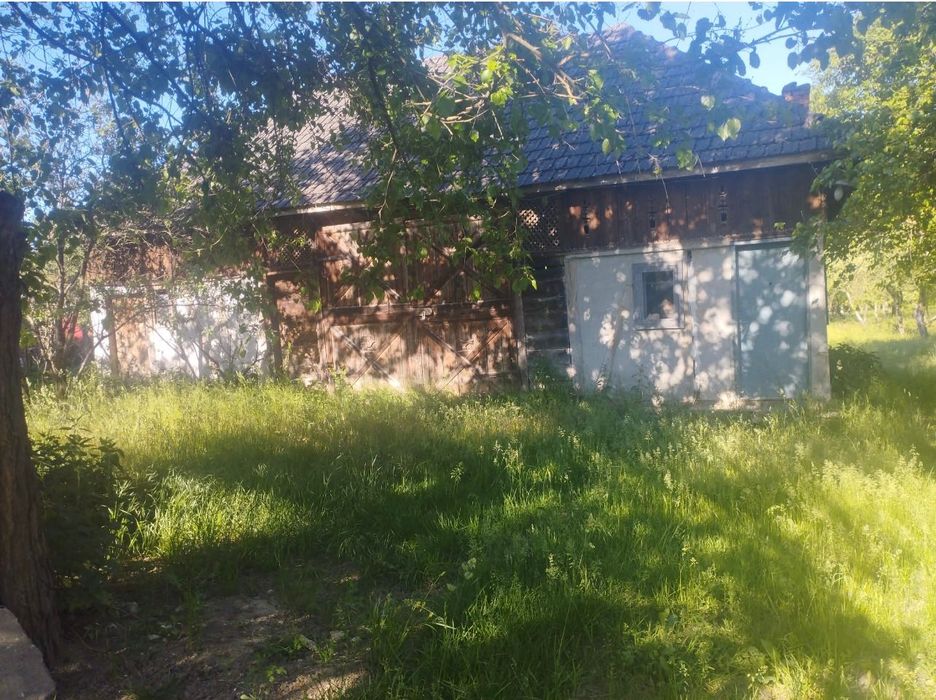 Vând casă+sura+teren 86 ari intravilan in Buciumi