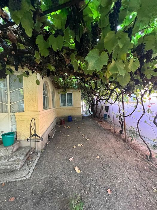 2 Case si teren de 2031mp Golesti/Focsani